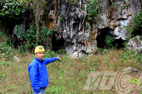 Trăn[-]khổng[-]lồ[-]cứu[-]dân[-]bản[-]khỏi[-]bầy[-]thú[-]dữ